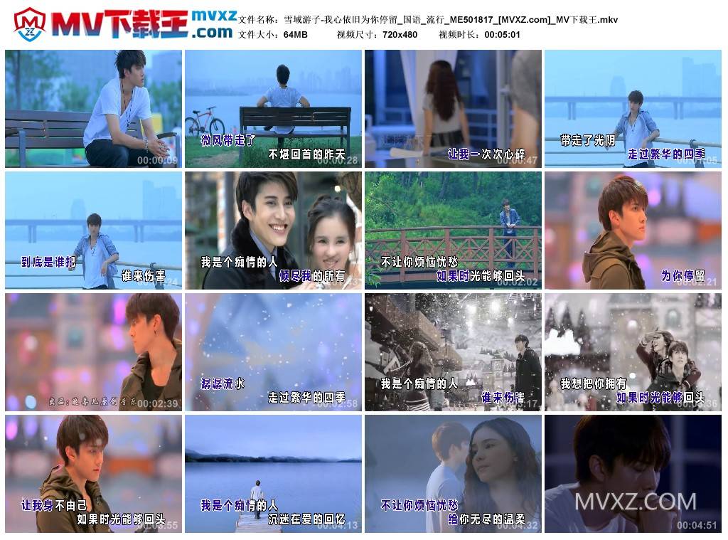 雪域游子-我心依旧为你停留_国语_流行_ME501817